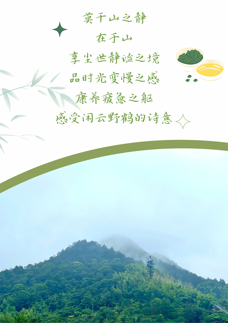心心念廿 相伴南宫NG·28 | 与德清相约 贺廿载诞辰