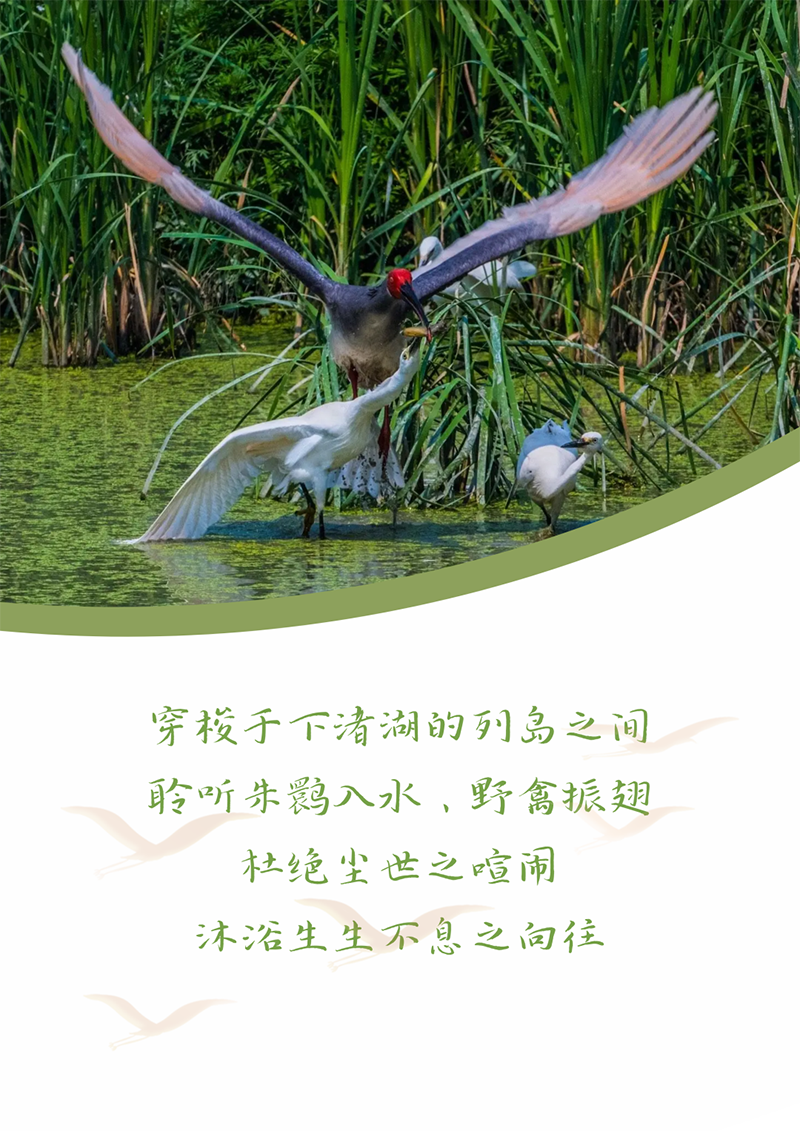 心心念廿 相伴南宫NG·28 | 与德清相约 贺廿载诞辰